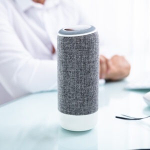 smart speaker